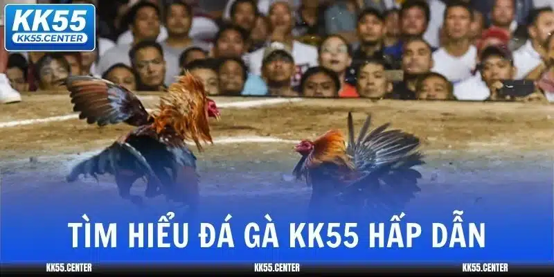 da-ga-kk55-tim-hieu